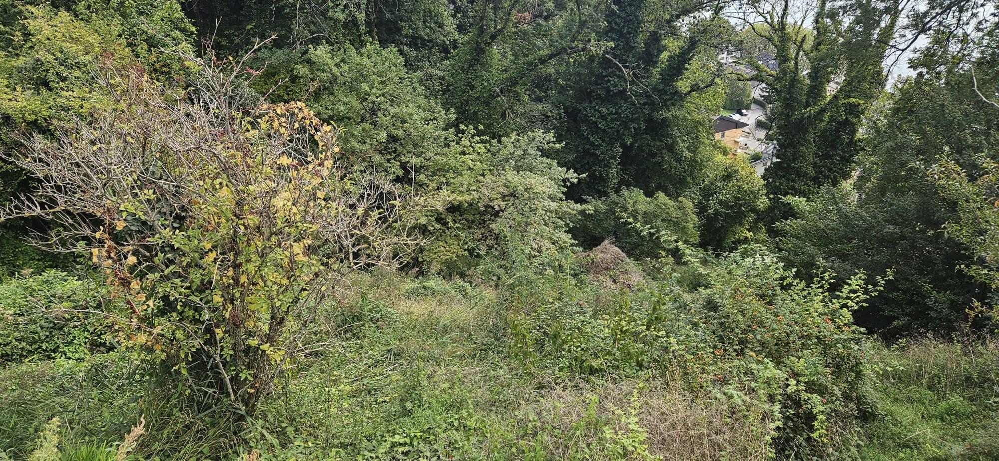 Corseaux: le ruisseau des Marais va être remis à l'air libre